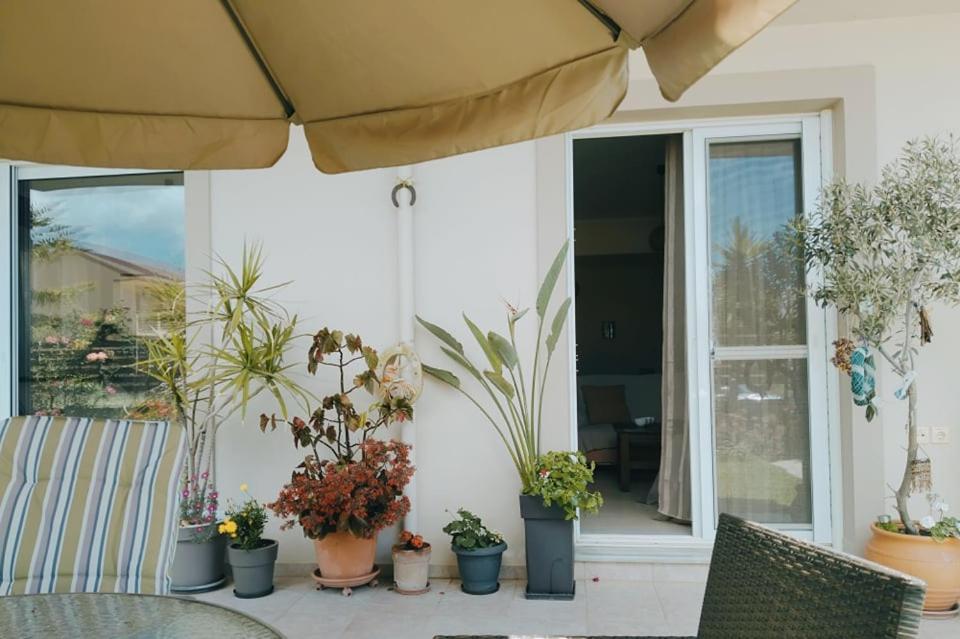 Xrysa'S Garden Daire Mesolóngion Dış mekan fotoğraf