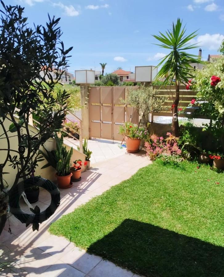 Xrysa'S Garden Daire Mesolóngion Dış mekan fotoğraf